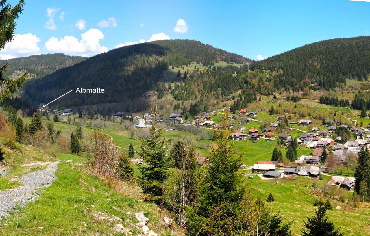 C2 Albmatte-Fewo , Hallenbad Aussenbecken Massagen Nebenan St. Blasien Exterior foto