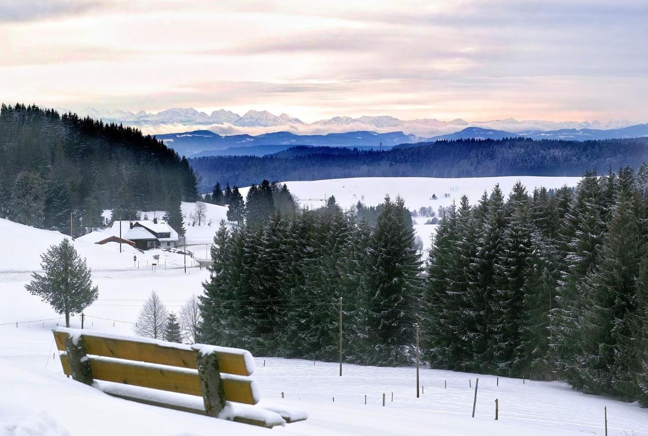 C2 Albmatte-Fewo , Hallenbad Aussenbecken Massagen Nebenan St. Blasien Exterior foto