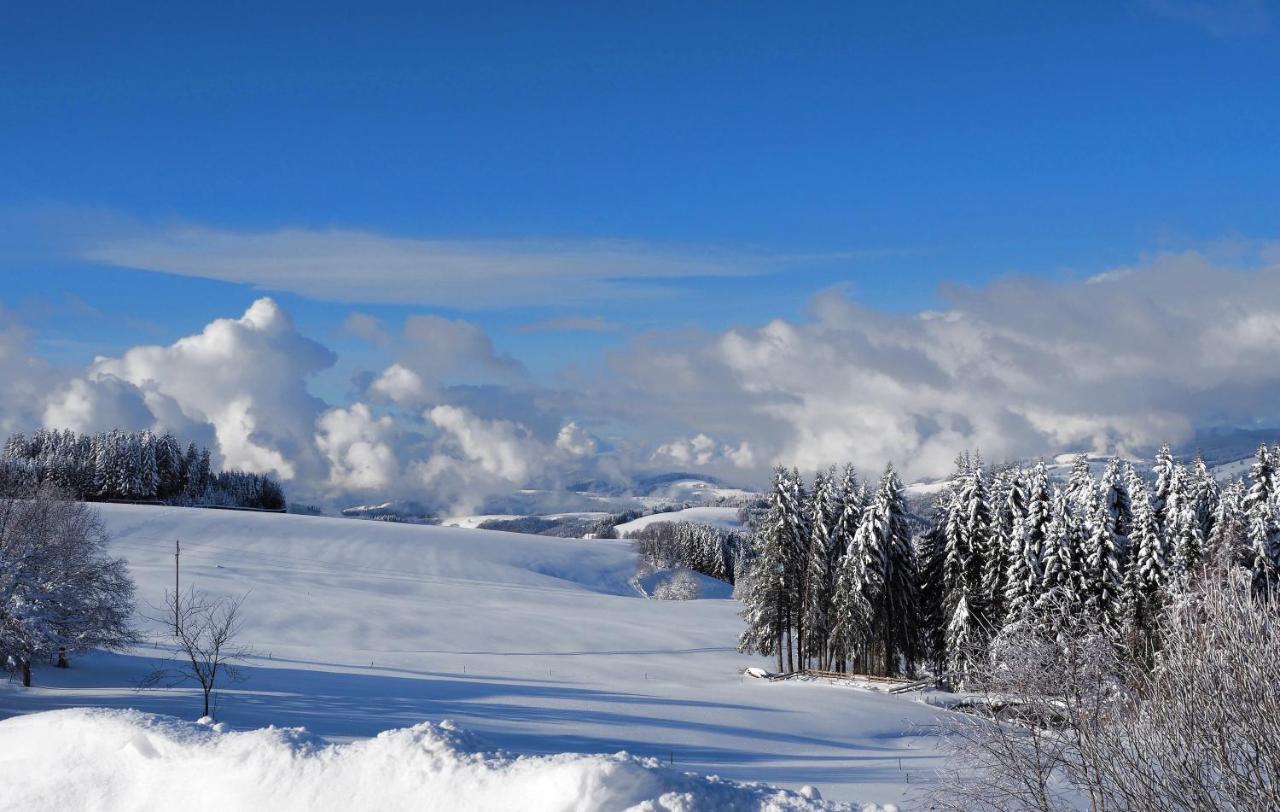 C2 Albmatte-Fewo , Hallenbad Aussenbecken Massagen Nebenan St. Blasien Exterior foto