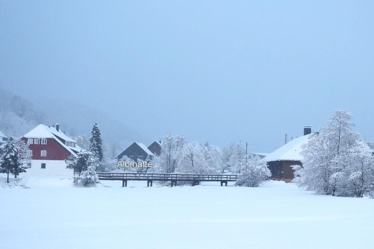 C2 Albmatte-Fewo , Hallenbad Aussenbecken Massagen Nebenan St. Blasien Exterior foto