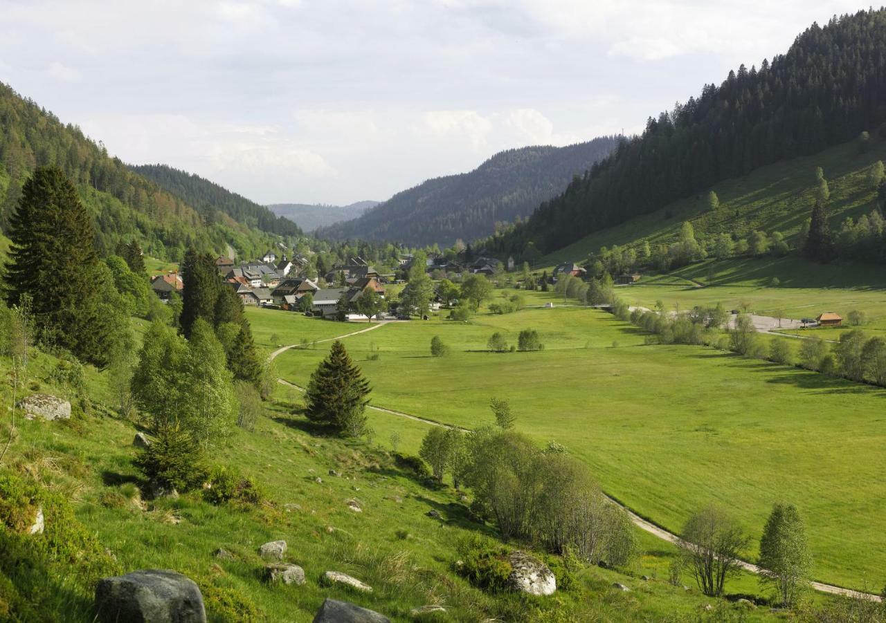 C2 Albmatte-Fewo , Hallenbad Aussenbecken Massagen Nebenan St. Blasien Exterior foto
