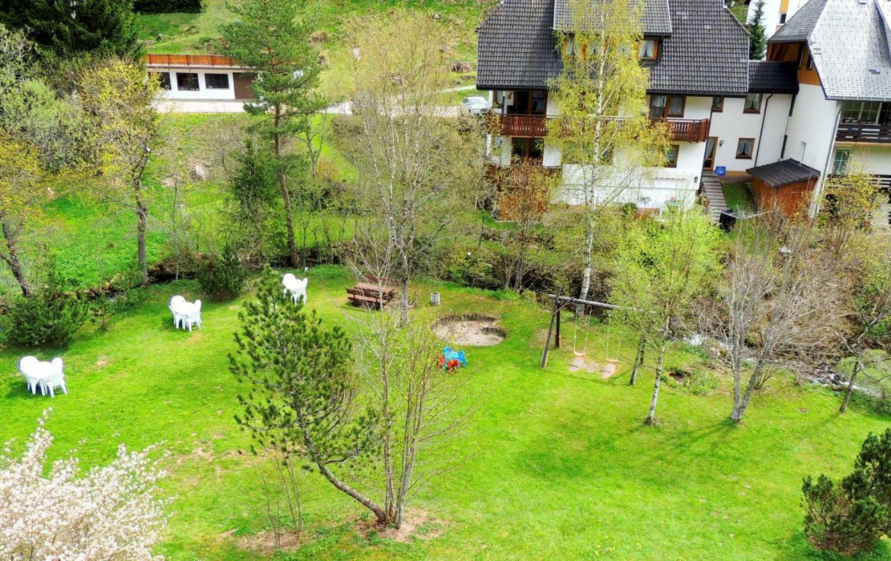 C2 Albmatte-Fewo , Hallenbad Aussenbecken Massagen Nebenan St. Blasien Exterior foto